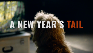 A new years tail