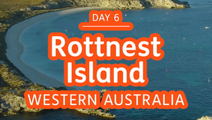 Jetset - Prawny Rottnest Island