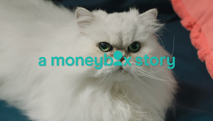 Moneybox 'Stories'