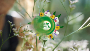 Airwick Scented Oil Warmers