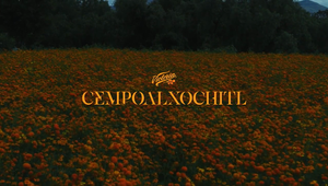 Cempasúchil—The Taste of Reunion