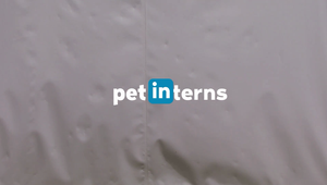 Pet Interns