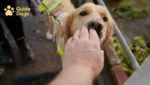 Guide Dogs - Where Will Your Gift Lead