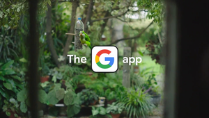 Google App - Parakeet