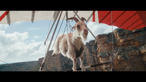 'Goat Glider' Virgin Media